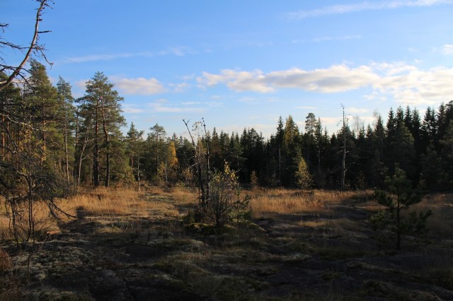 nuuksio10