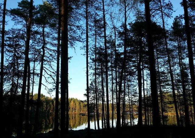 nuuksio4