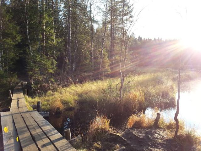 nuuksio7