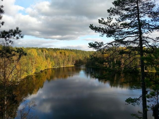 nuuksio9
