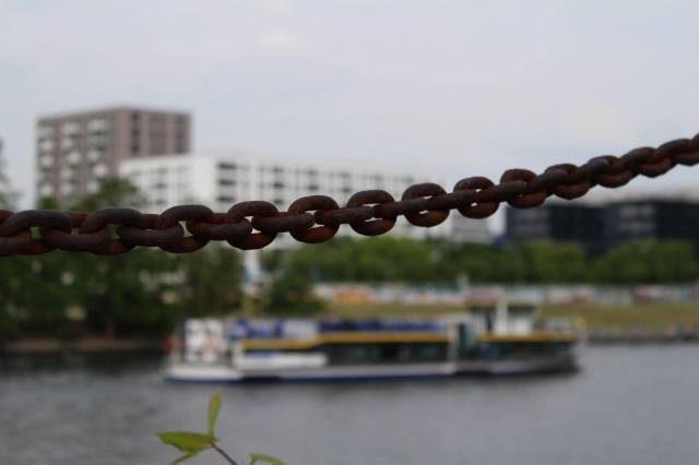 11334241_10152719195520870_1827398114220705817_o