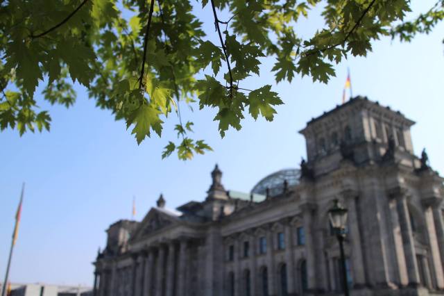 13220571_10153415316110870_7697890270922735251_o