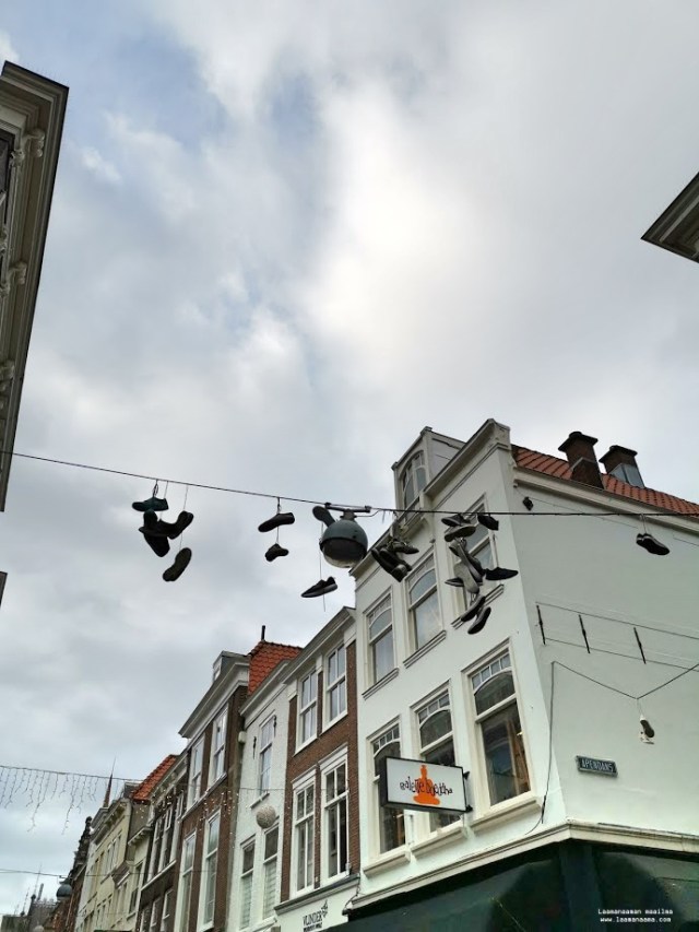 IMG_20191207_125646_