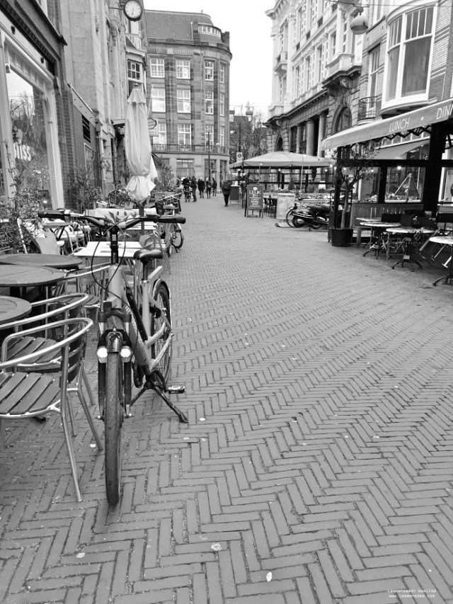 IMG_20191207_131436_