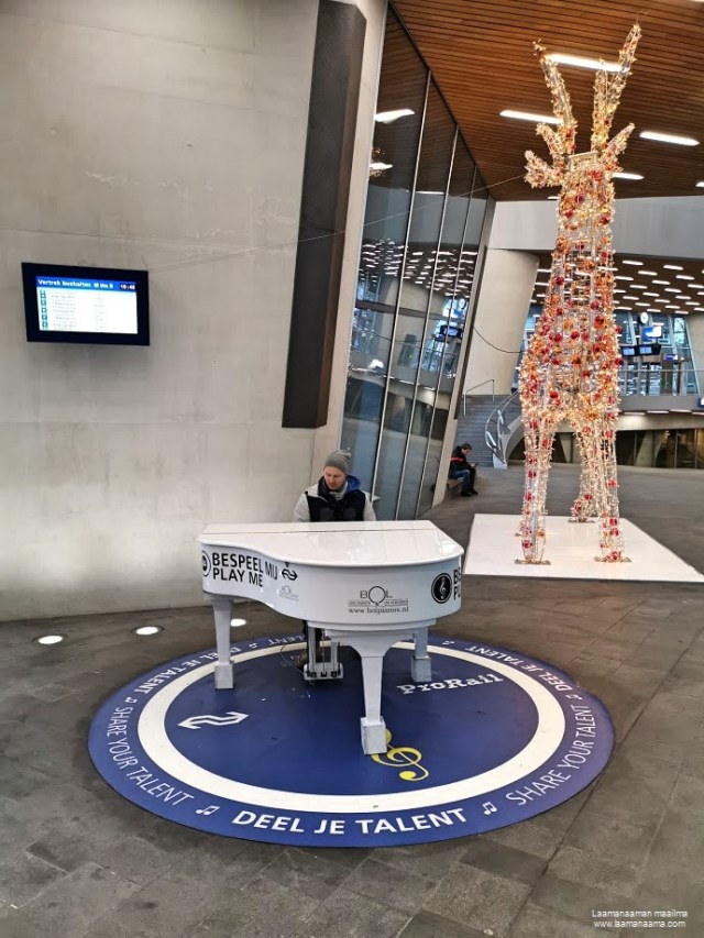 IMG_20191208_104807_