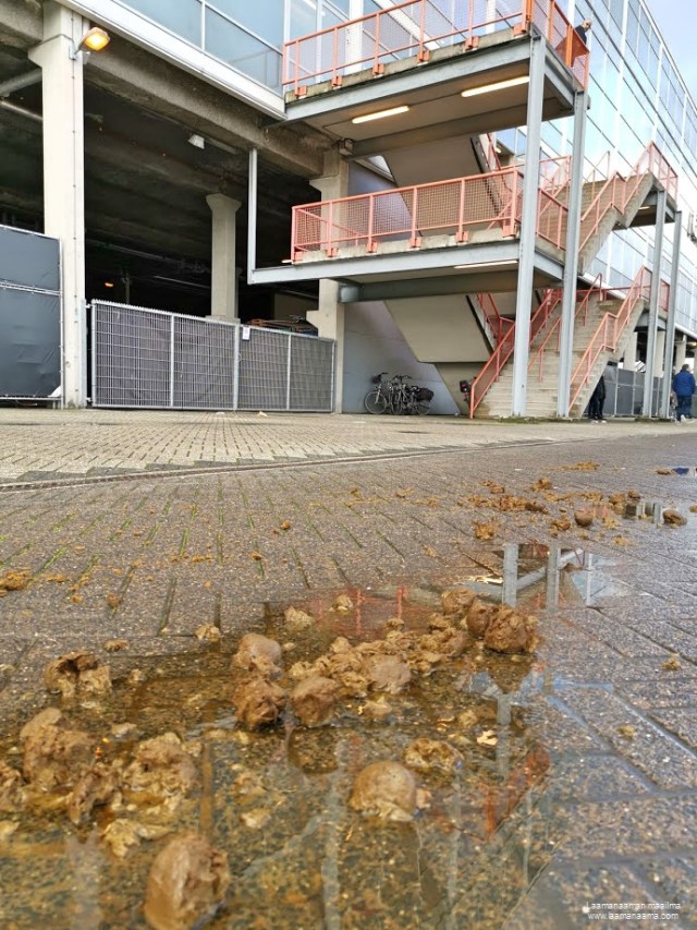 IMG_20191208_143007_