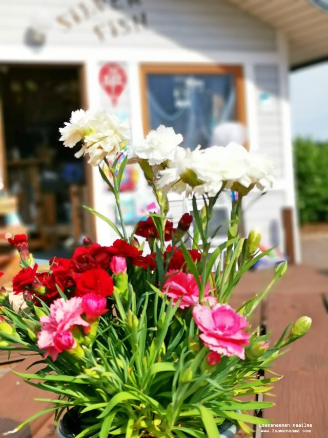 img_20200630_170230_